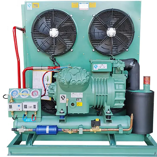 3hp 5hp 12hp 20hp 40hp Cold Room Refrigeration Compressor Unit Air Cooling Condensing Unit For cold room