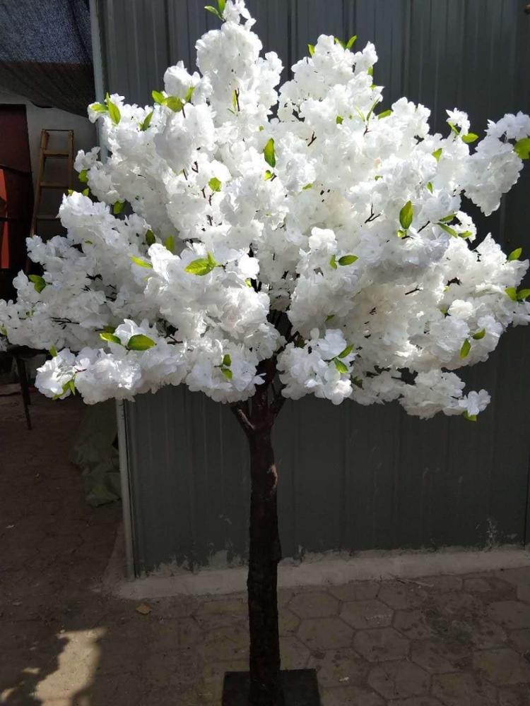 Branches blanches
