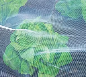 Garten netz für Vogel insekten und Insekten bezüge Moskito netz aus weißem Netz gewebe in mehreren Größen für Obst-und Gemüses chutz - Product Image 2