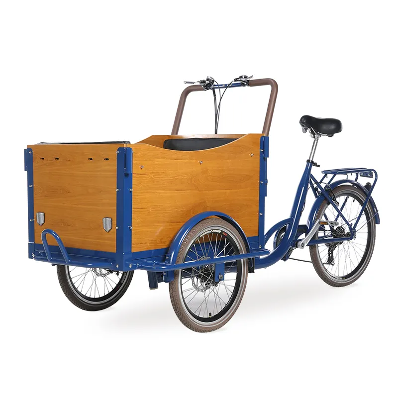 Eu 6 velocità famiglia tre ruote bicicletta elettrica che trasporta bambini Cargo Bike