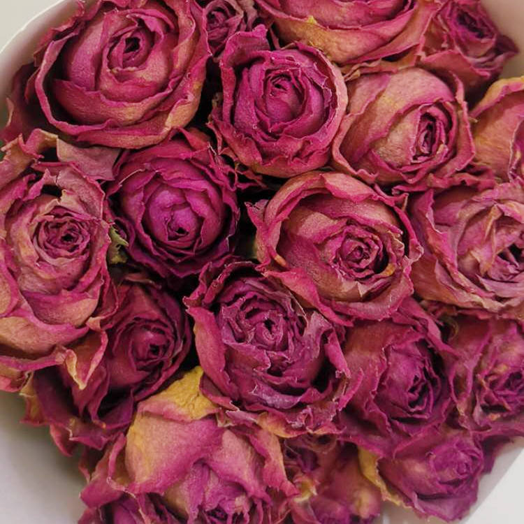 ความงามเย็น