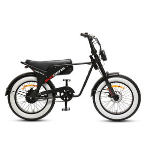 TXED 48V 14.5AHリチウム電池電動オートバイ500Wシングルスピードファットタイヤ電動自転車