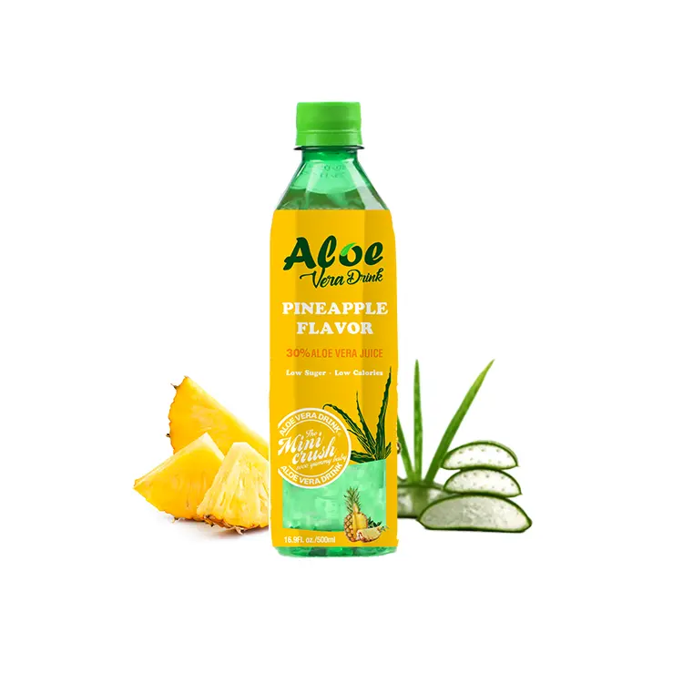 Aloe Vera Juice Soft Drink with Fruit Pulps Natural Aloe Drink