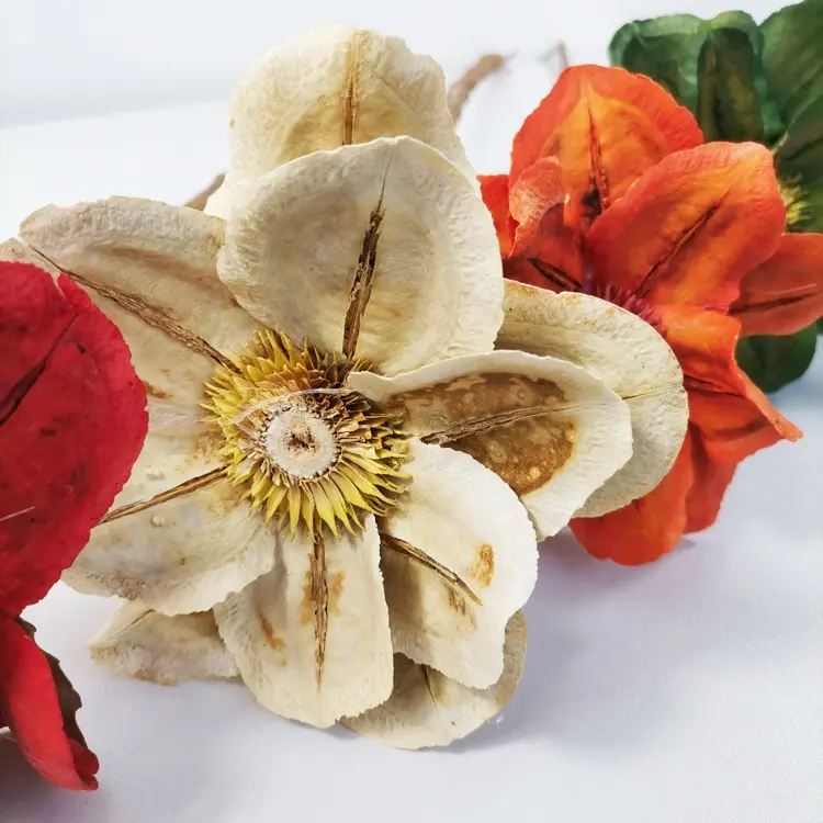 Sumflora Kunming Floral Factory Supply Natural 70-80cm preserved Big Roses giant flower decoration dried flowers passion flower