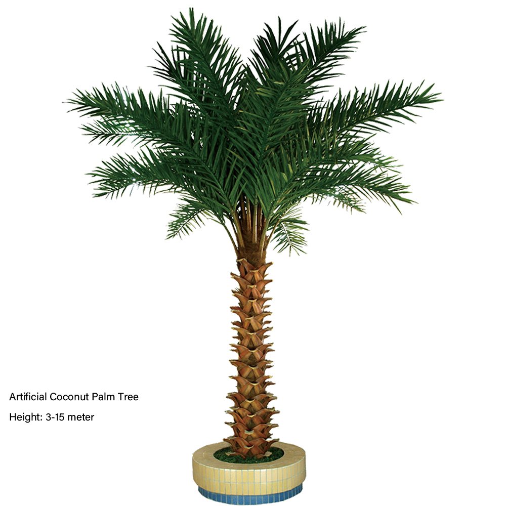 Coconut Palm Tree