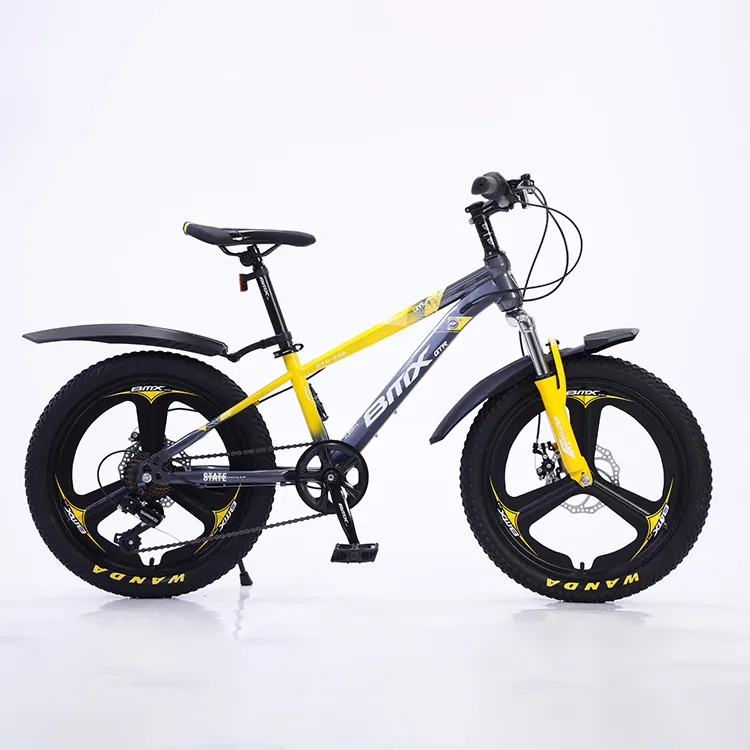 BMX Hot Sale benutzer definierte Logo Mode lila Kinder Erwachsenen Fahrrad 20 Zoll Freestyle Flatland Stunt Bike zum Verkauf BMX