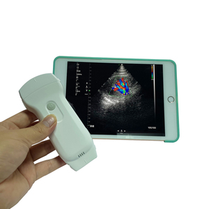专业医用超声仪器凸探头带线性探头 - Product Image 3