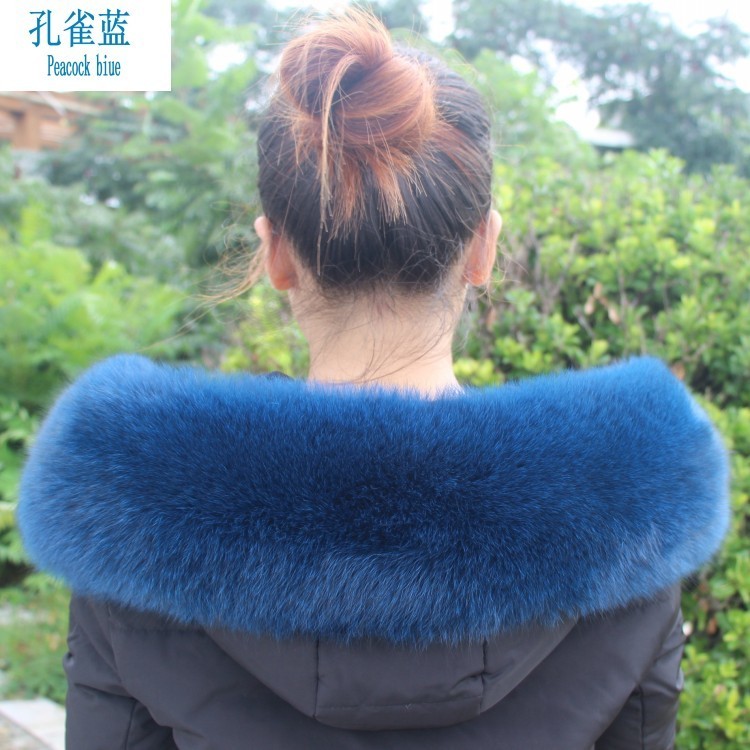 Paon Bleu
