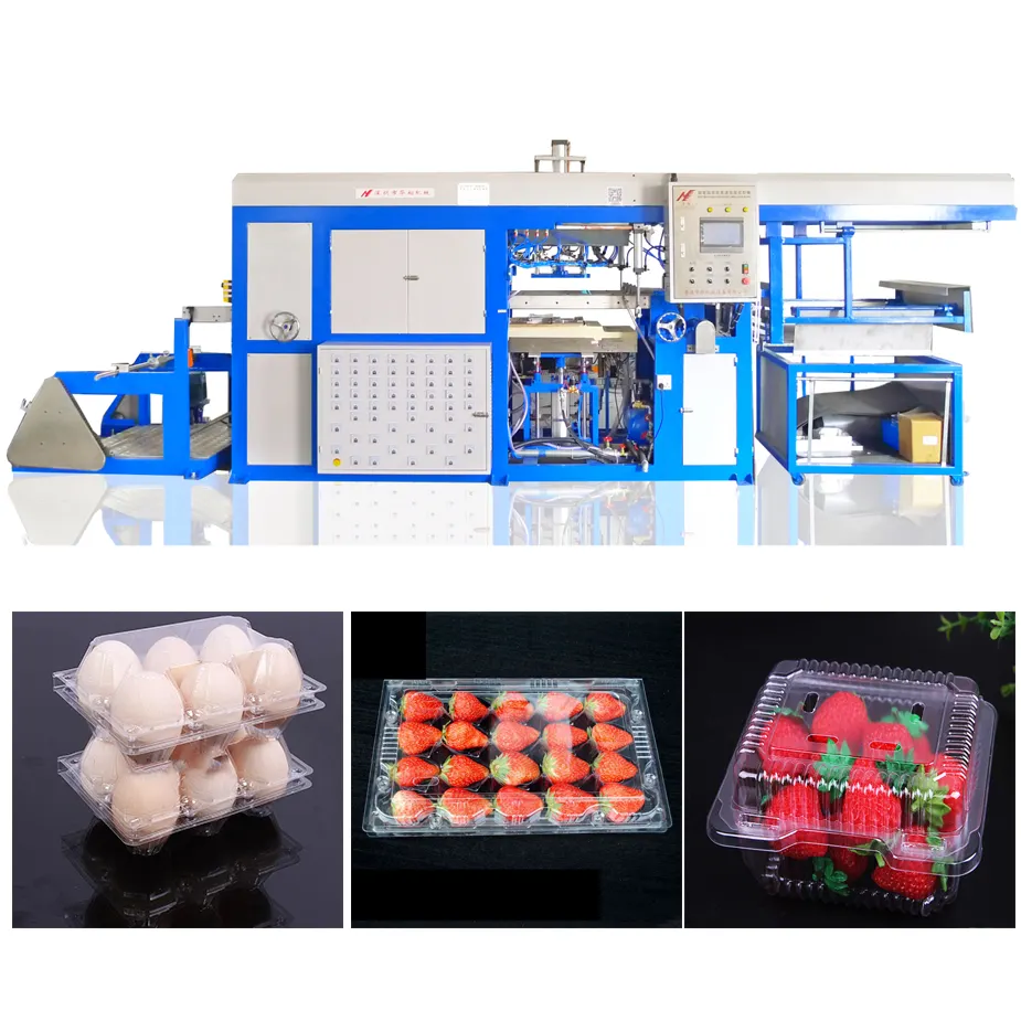 플라스틱 Thermoforming 진공 성형/성형 과일 계란 판지 트레이 만드는 기계