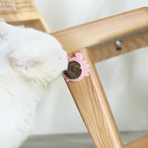 Juguete interactivo ecológico de plástico Catnip Snack Lollipop Wall Ball Cat con menta para gatos - Product Image 6