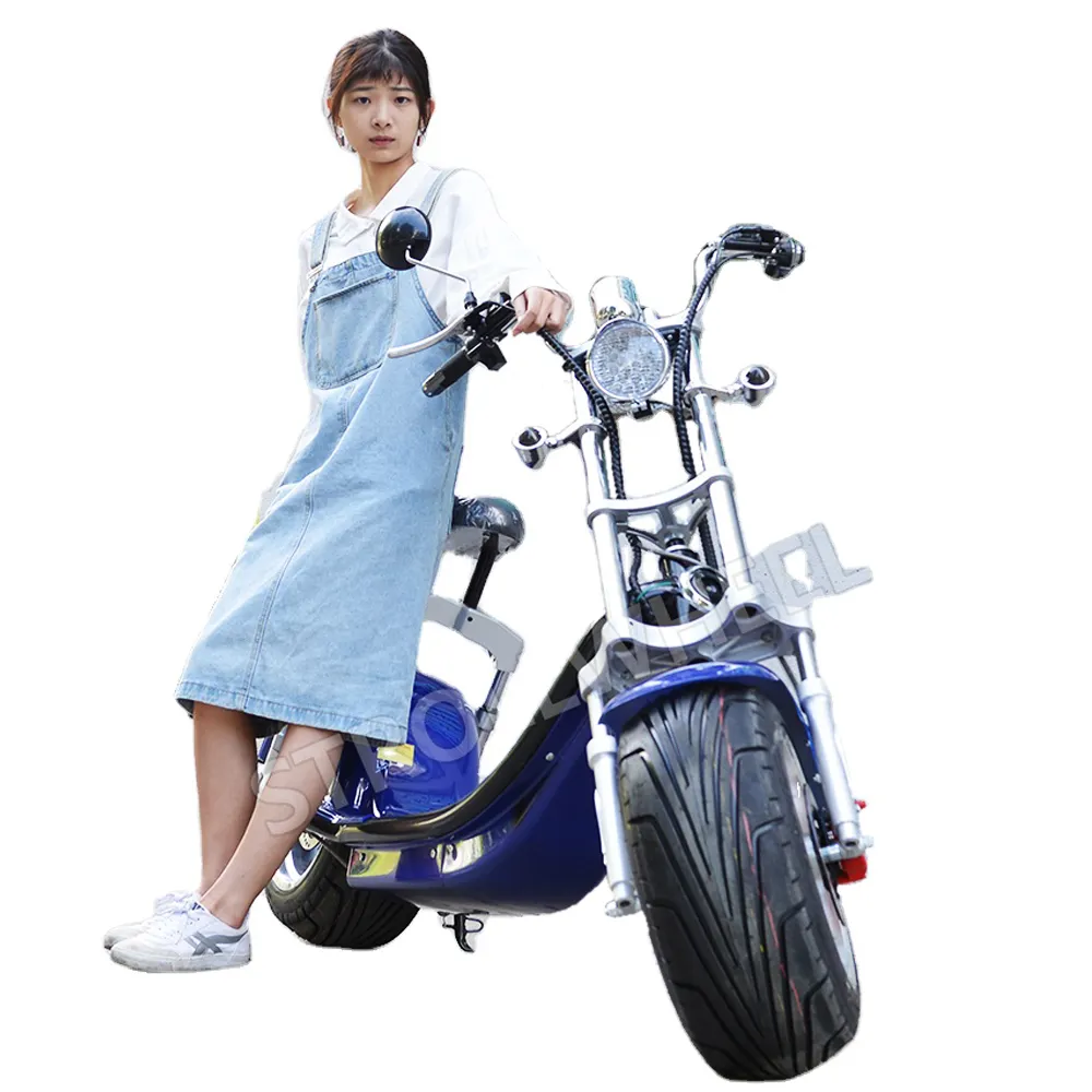 Citycoco accessoires 2 roues gros pneu scooter électrique tout-terrain eec moto électrique motos tout-terrain