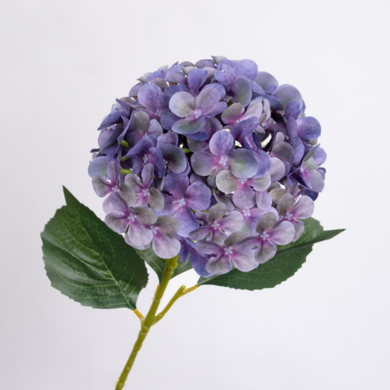 Violet foncé