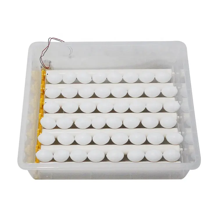 Incubadora de huevos de pollo automática, Control preciso de temperatura, garantía de calidad