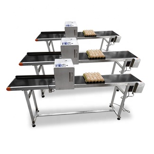 Niedriger Preis Eier Verfalls datum Druckmaschine/Eier behälter Druckmaschine/Eiercode Druckmaschine - Product Image 3