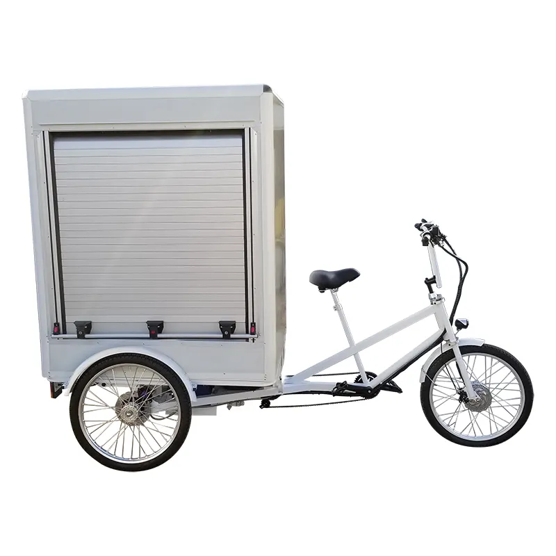 2021 New Style 500watt Motor Cargo Delivery Use Freight Bike Electric Tricycle with Cabin