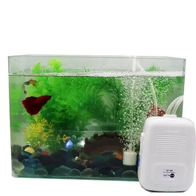 خزان شحن USB للأسماك الأكسجين ، حوض السمك والبكم لوعاء الأسماك في الهواء الطلق استخدام خزان الأسماك