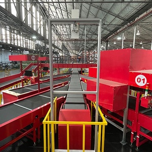 Sistema de clasificación de bandas cruzadas de alta eficiencia Truelisort para diseño modular de automatización industrial - Product Image 2
