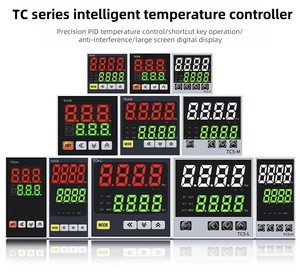 Termostato controlador de temperatura digital con interruptores controlados por temperatura (TDS) para instrumentos de temperatura