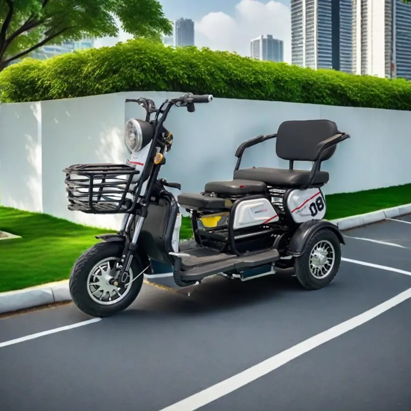 Tricycle électrique de loisirs adultes pour le scooter électrique handicapé de 3 personnes