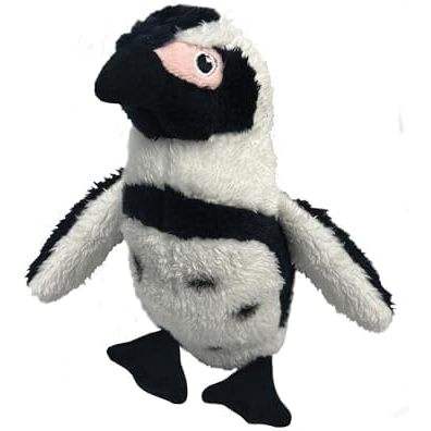 Humboldt Penguin