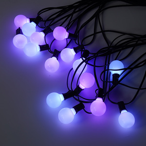 低電圧RGBリモコン付きFestoonライトLedガーデンボールライトAPPコントロールLedストリングライト - Product Image 3