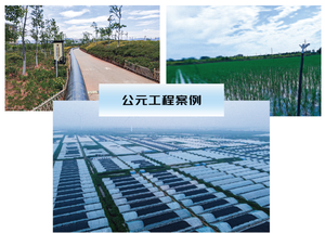 ERA CPVC ASTM D2846 NSF PVC-Cパイプを備えた肘とNSFを備えた継手を削減 - Product Image 5