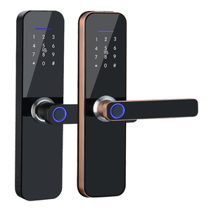 TTlock Wifi telecomando Smart Lock M1 controllo accessi per porte di sicurezza domestica serratura antifurto serratura biometrica per impronte digitali