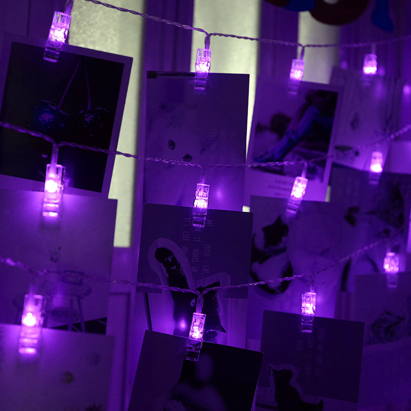 Pourpre