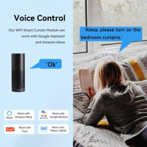 Con Google Alexa 10A Smart Wifi Mini DIY Tuya App di controllo vocale modulo interruttore intelligente modulo di controllo della luce a 2 canali BAB - Product Image 5
