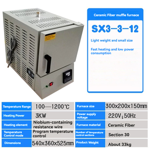Horno de mufla inteligente de 3KW/Horno de resistencia tipo caja de alta temperatura de laboratorio/Control de temperatura inteligente/Prog de 220V - Product Image 4