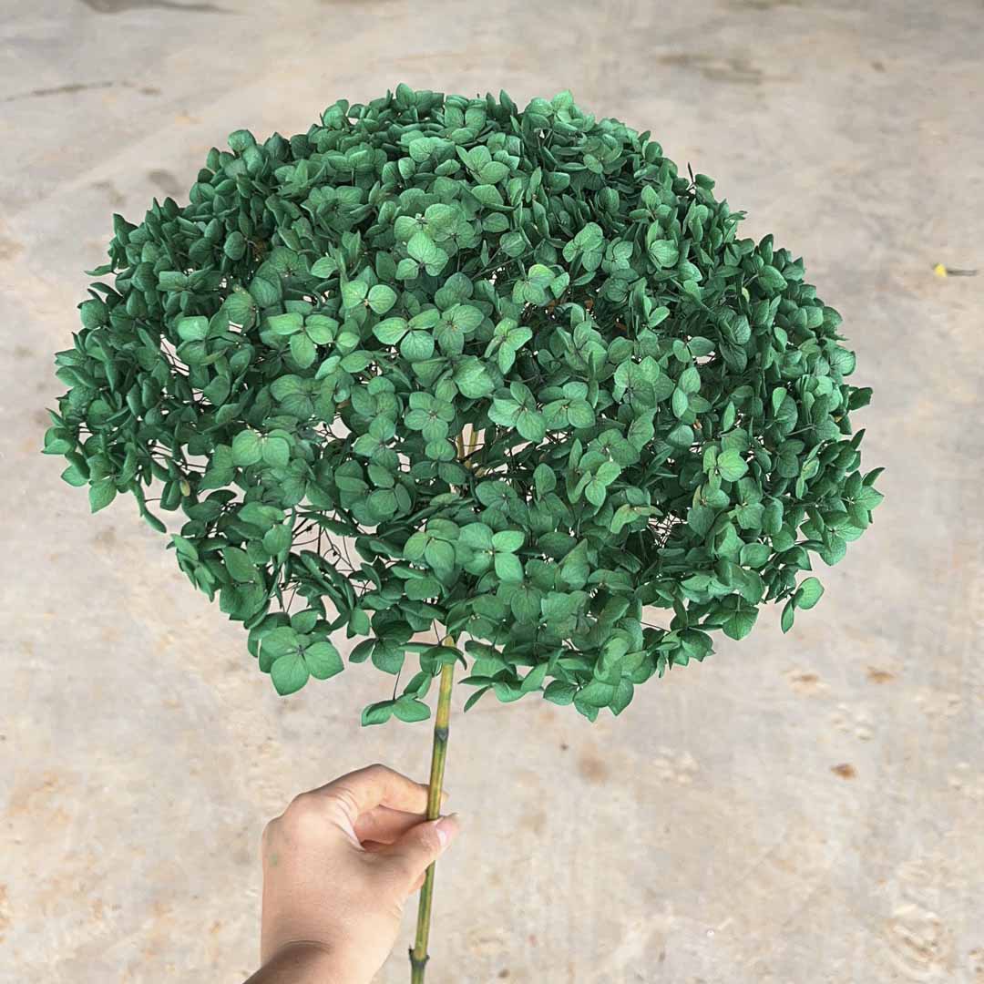 Vert foncé