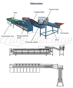 Máquina clasificadora de peso de báscula de pesaje automática - Product Image 2