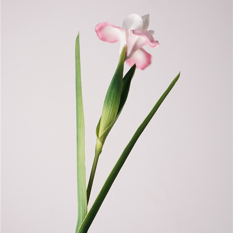 Feel pu small iris-light pink