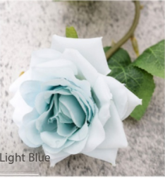 Bleu clair