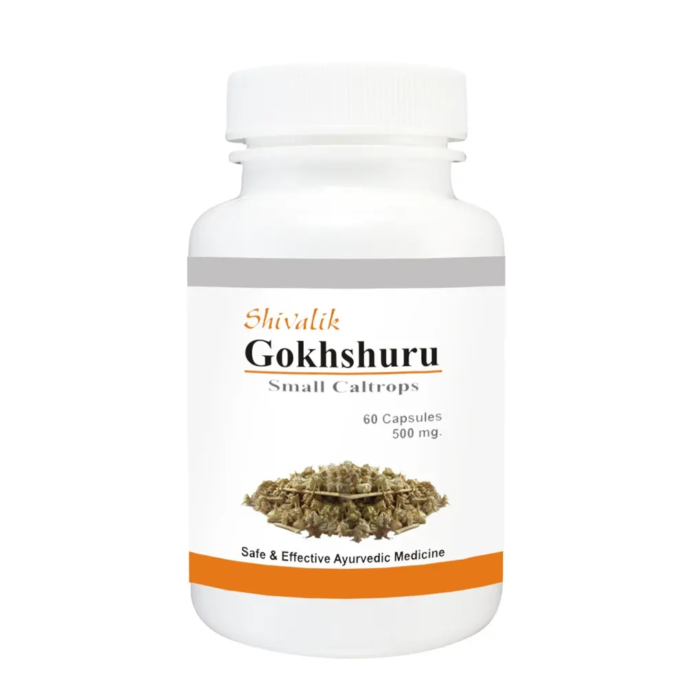 Fabricant de marque privée de capsules Gokhshuru Tribulus Terrestris pour les problèmes rénaux Infection urinaire Femme Reproductive