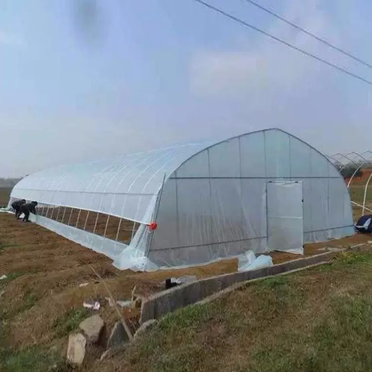 経済的なトンネル温室機器野菜ホット販売シングルスパン亜鉛メッキ小さなトンネル温室