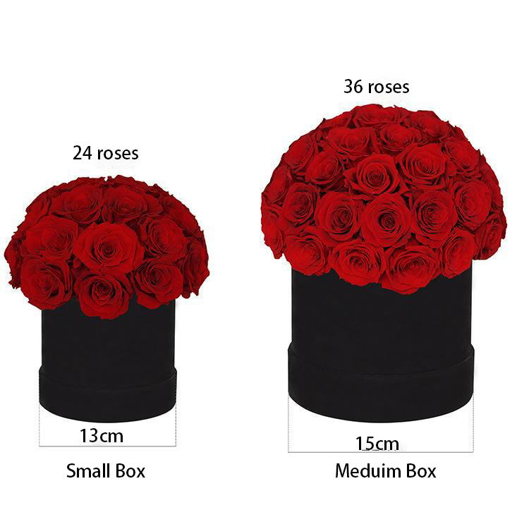 24 roses en boîte dôme