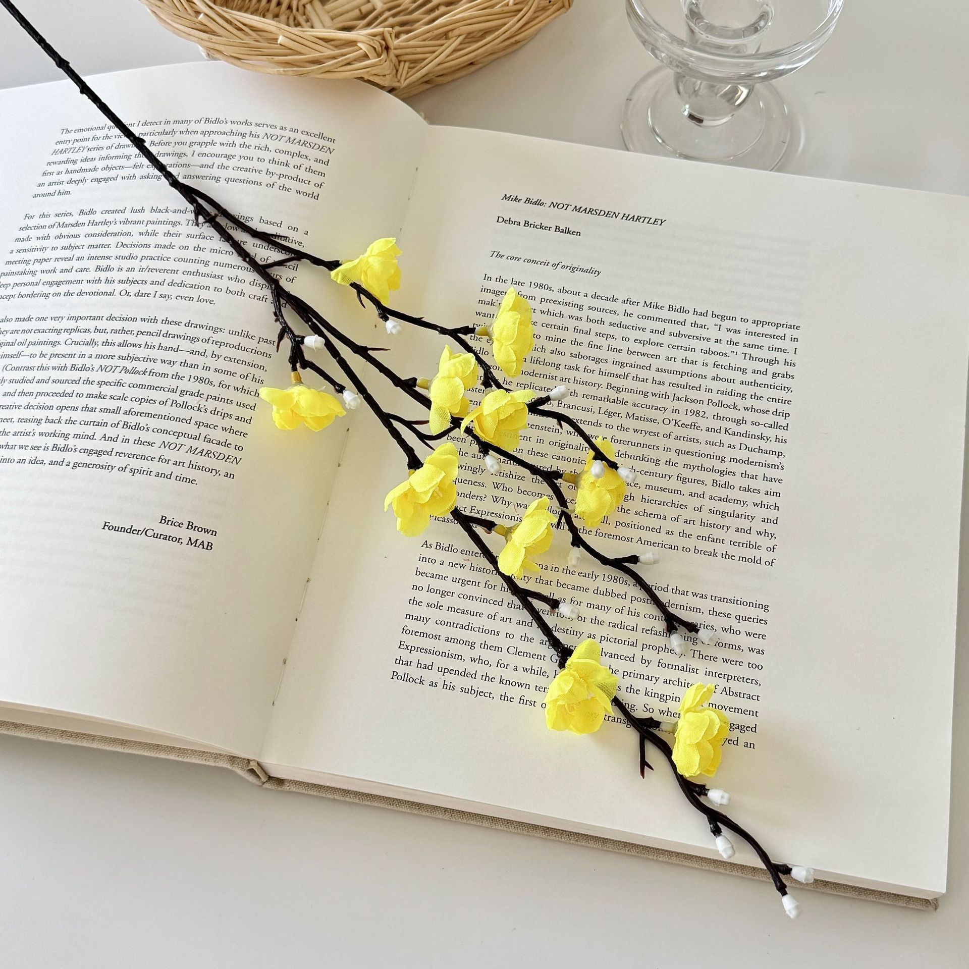 Mini wintersweet yellow