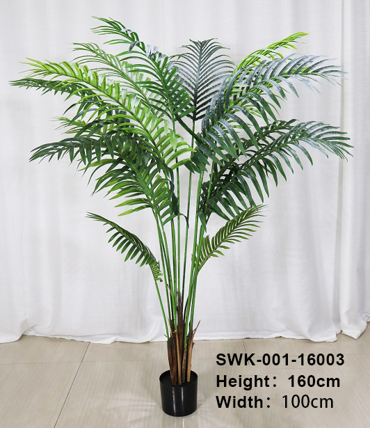 Paume 180cm/Areca