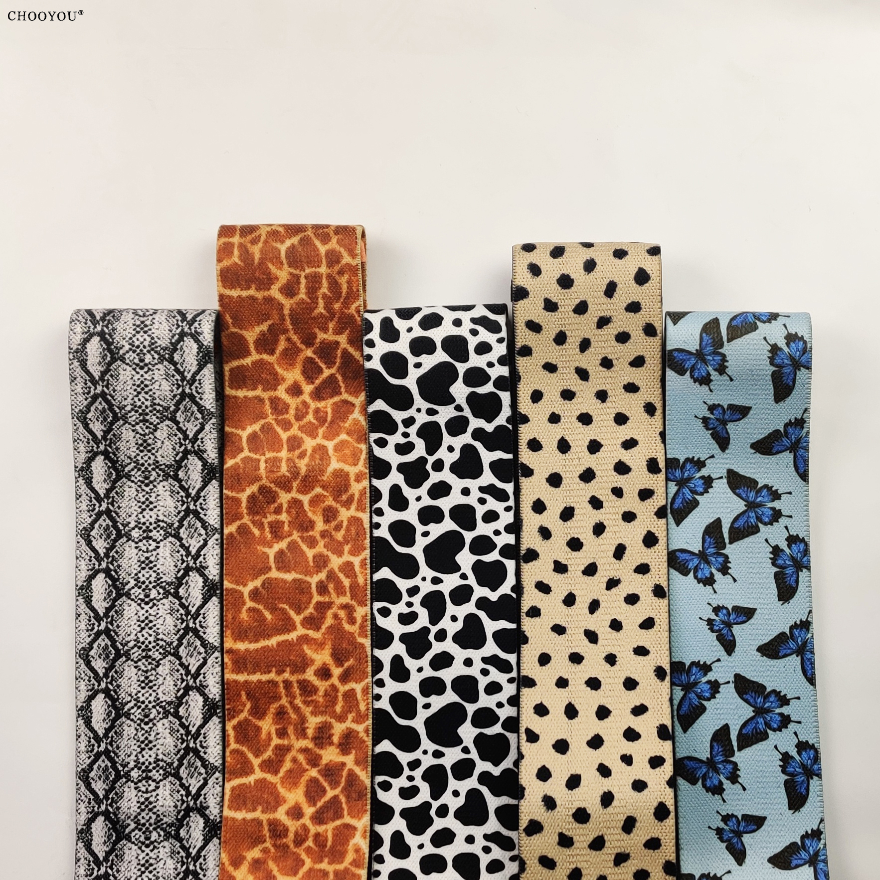 animal series 2