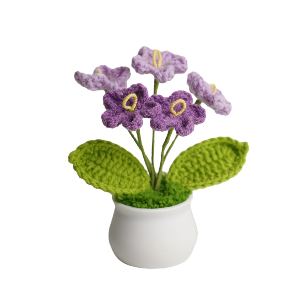 Bonsaï Myosotis violet dégradé