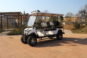 6 chỗ ngồi off-road điện tham quan Golf Buggy 48V thép Ride-on xe giỏ hàng để bán sân bay - Product Image 4