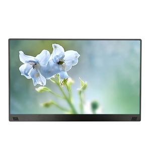 Precio barato Delgado Monitor portátil de 15,6 pulgadas Pantalla táctil 1080P USB Tipo-C Entrada HDM