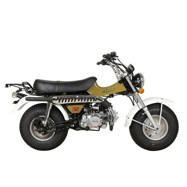 SKYTEAM 125cc E5 4ストロークT-REX RV90バンバンビーチバイクダートバイク (EEC EURO5 EURO4承認)