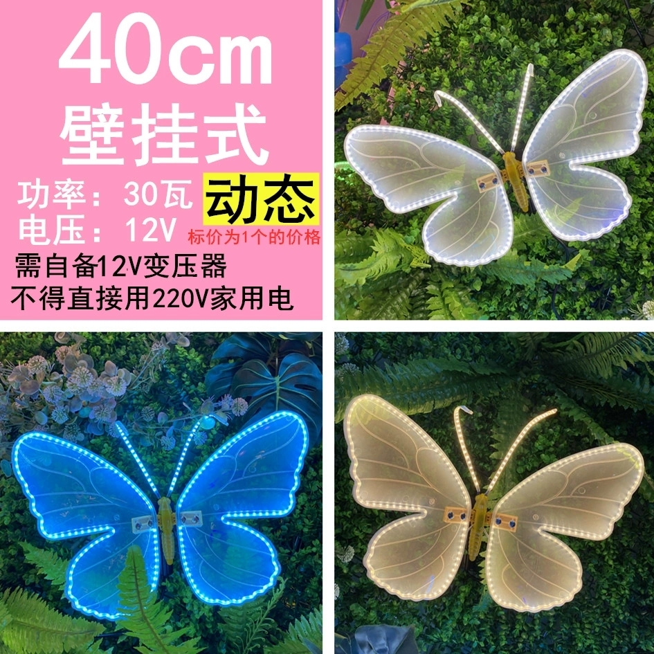 lumières papillon 1