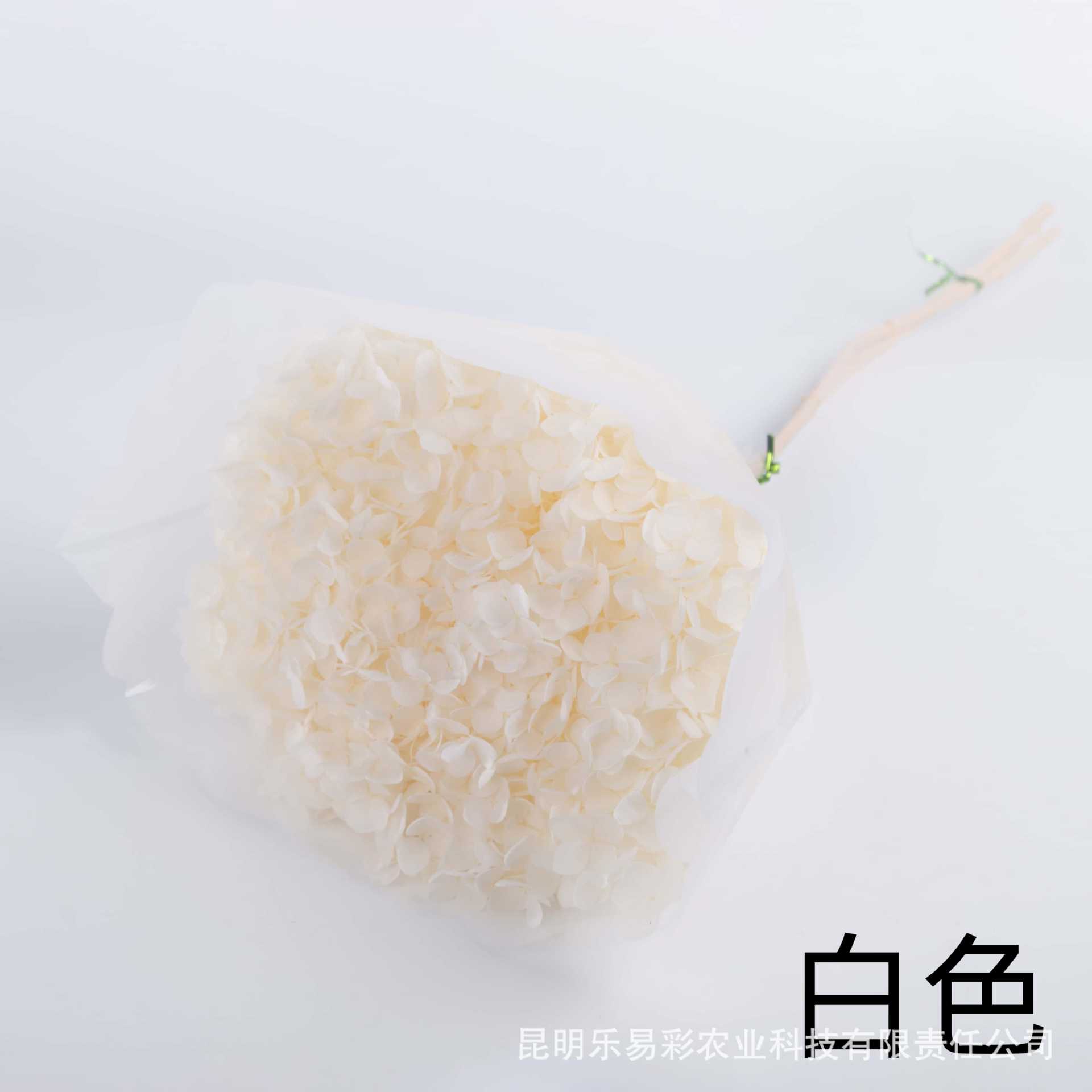 Creamy-white