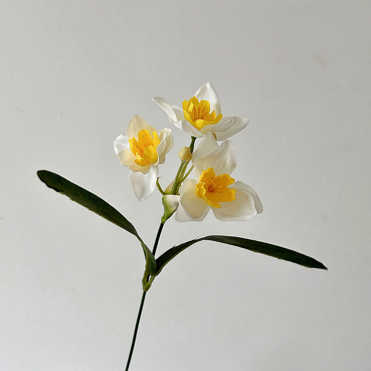 Nucleo bianco-giallo