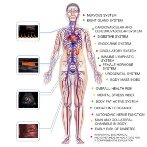 Ai Phân Tích Mới 3D khối lượng cơ thể đo lường sự trao đổi chất sức khỏe cơ thể phân tích cho sức khỏe thiết bị quản lý - Product Image 4