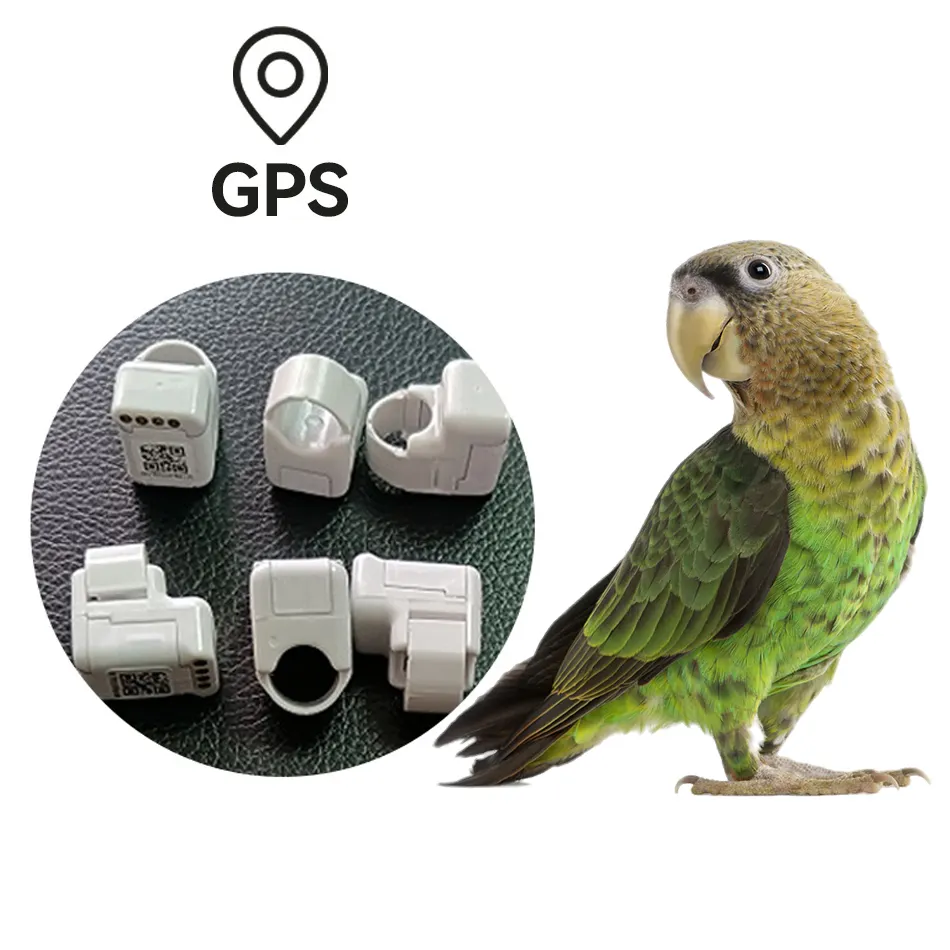 Rastreador de aves con GPS, Anillo de pie de seguimiento para loros, palomas, aves voladoras al aire libre