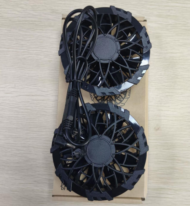 Fan
